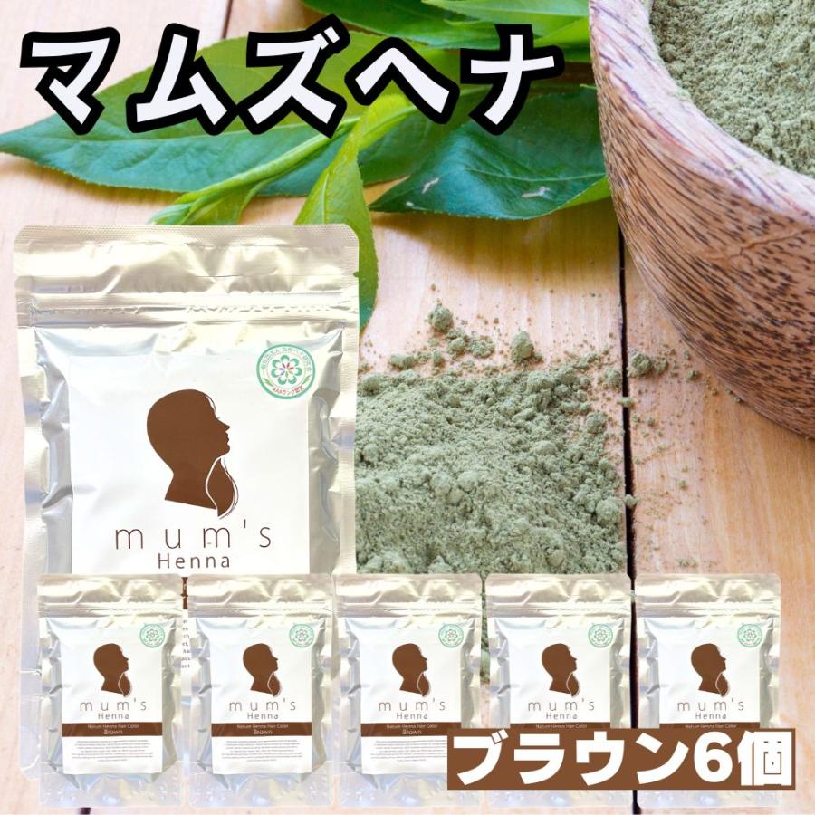 6セット　エムズ　白髪染め マットブラウン 100g エムズハーブ 天然 6セット エムズ 白髪染め マットブラウン 100g エムズハーブ 天然