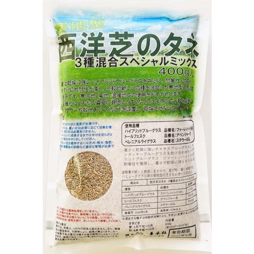 西洋芝のタネ 3種混合スペシャルミックス 400g 紅大貿易 (400g) | 