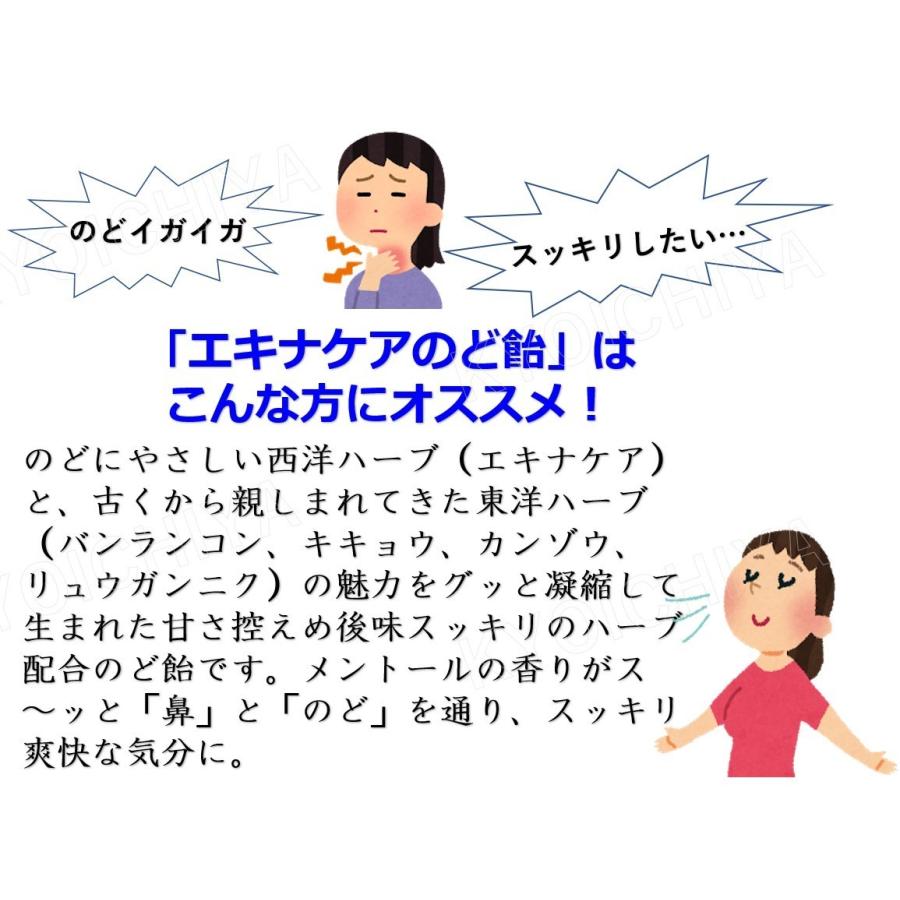 エキナケア のど飴 ノンシュガー 15粒入り ×4袋セット 松浦薬業 送料無料｜life-shop-mcm｜05