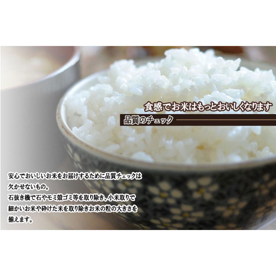 令和６年産！ブレンド米25kg！ 令和6年産！ブレンド米25kg！