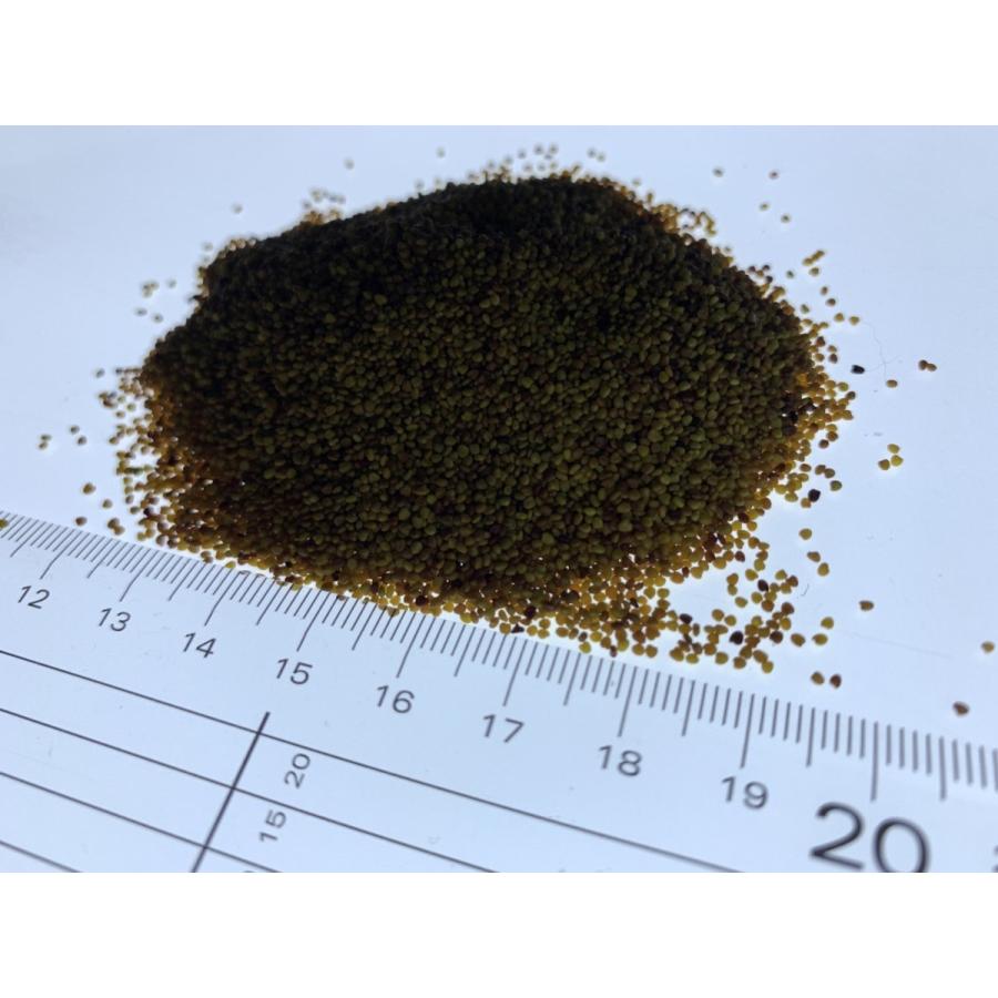 白詰草 シロツメクサ 種子 ホワイトクローバー フィア g 約4平方メートル分 仕様 種子袋 Life With Green Life With Green Yahoo 店 通販 Yahoo ショッピング