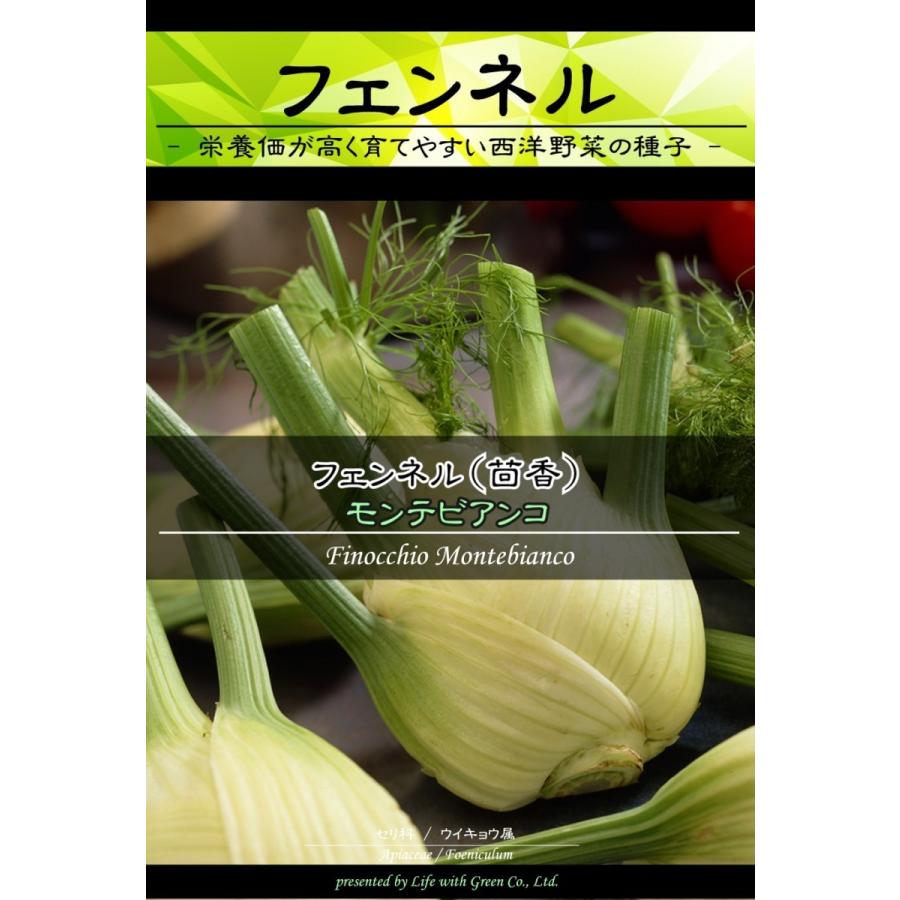 西洋野菜種子 フェンネル モンテビアンコ Life With Green Life With Green Yahoo 店 通販 Yahoo ショッピング