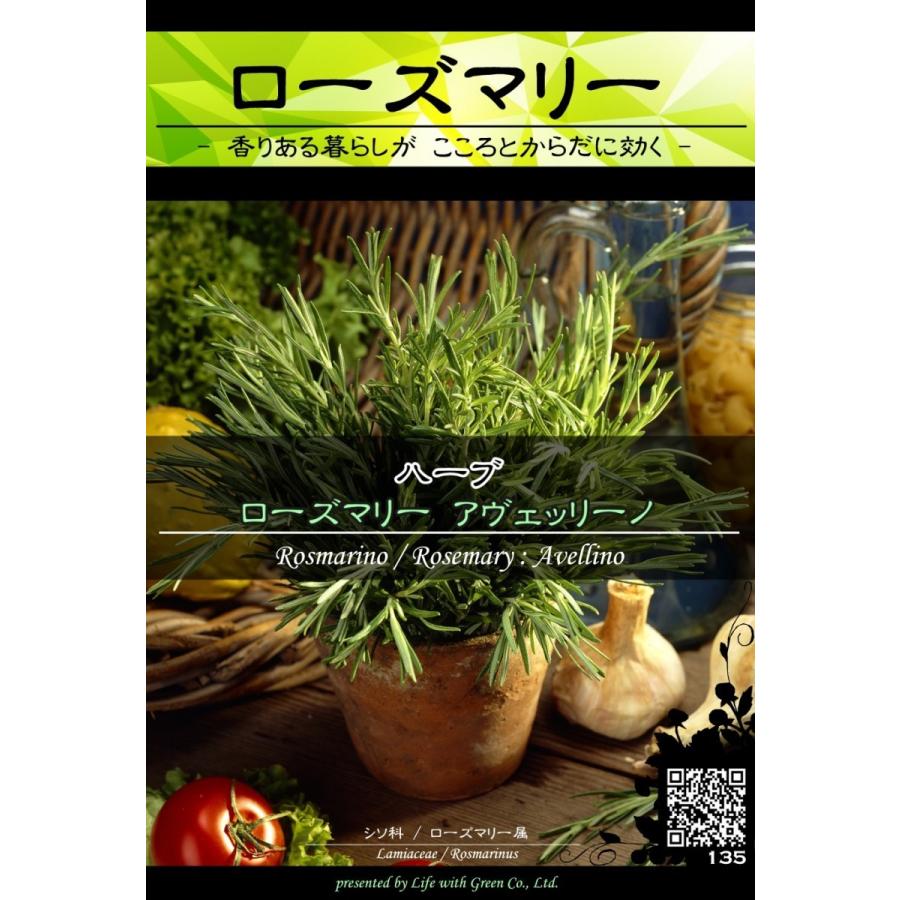 ハーブ種子 ローズマリー アヴェッリーノ 芳香 魔除け ポプリ Life With Green Life With Green Yahoo 店 通販 Yahoo ショッピング