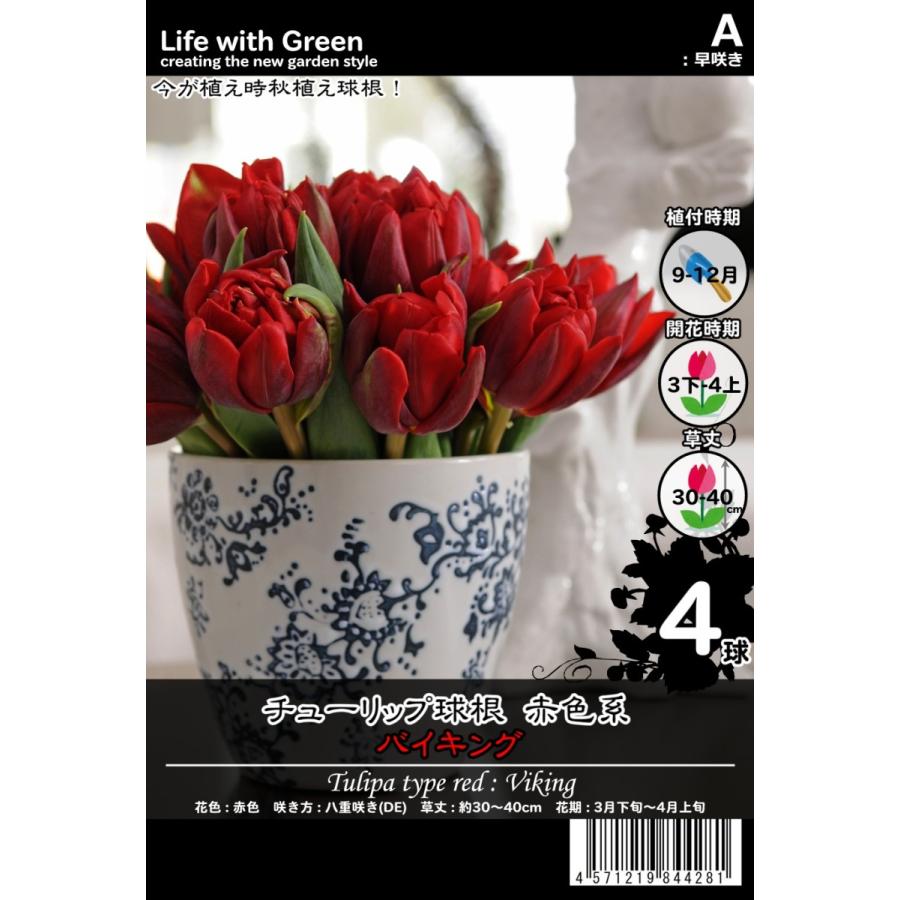 チューリップ球根 赤色系 八重咲き De バイキング Life With Green Life With Green Yahoo 店 通販 Yahoo ショッピング