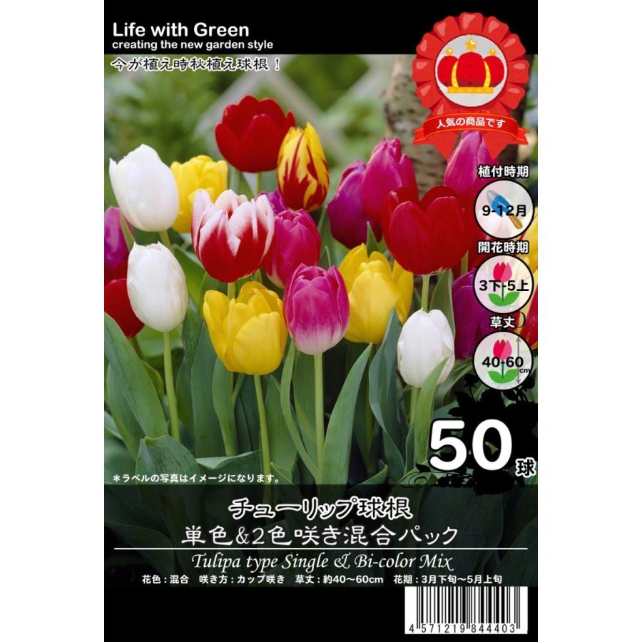 チューリップ球根 単色 ２色咲き混合パック 100球セット 50球パック 2個 特別価格 Life With Green 01 Life With Green Yahoo 店 通販 Yahoo ショッピング