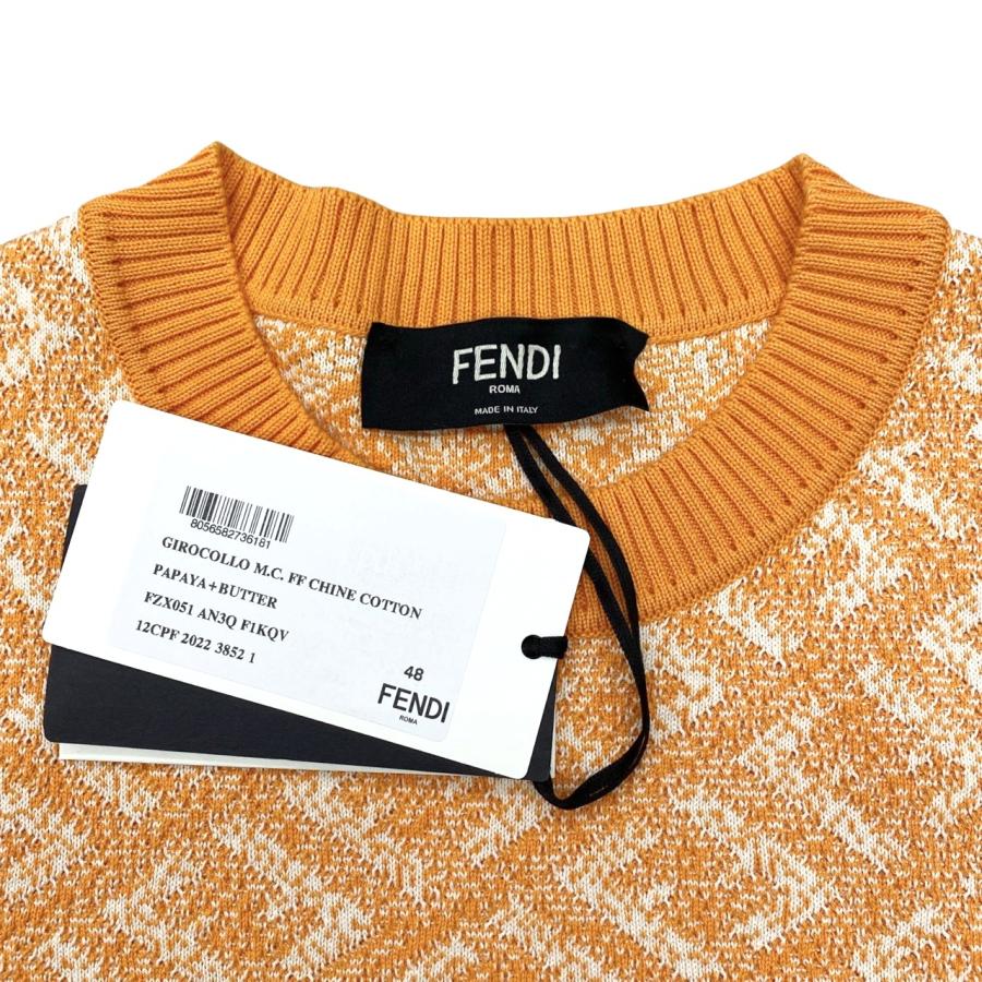 FENDI（フェンディ） 半袖セーター クルーネックニット FZX051 AN3Q