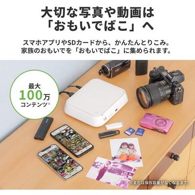 BUFFALO バッファロー おもいでばこ スマホ 4K 2TB PD-2000-L 動画