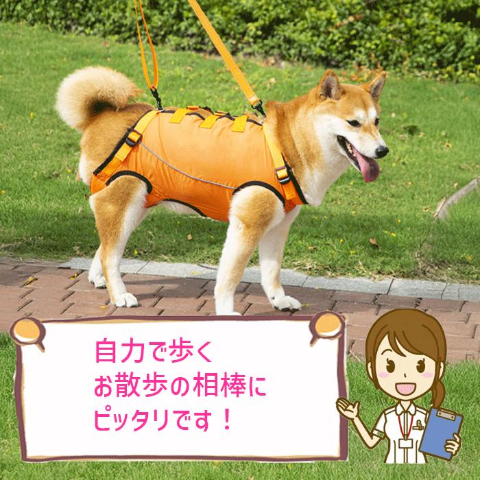 犬 介護 ハーネス 介護服 介護用ハーネス 犬用 歩行支援 歩行補助 老犬