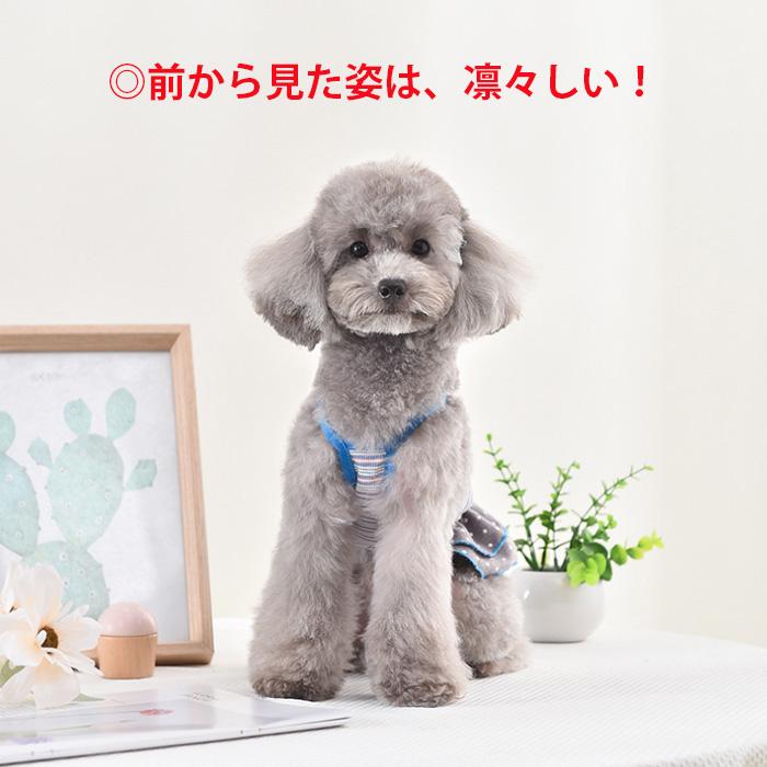 犬服 SS わんこの普段着　ポップアニマル 犬服 SS わんこの普段着 ポップアニマル マルチボーダーロゴ