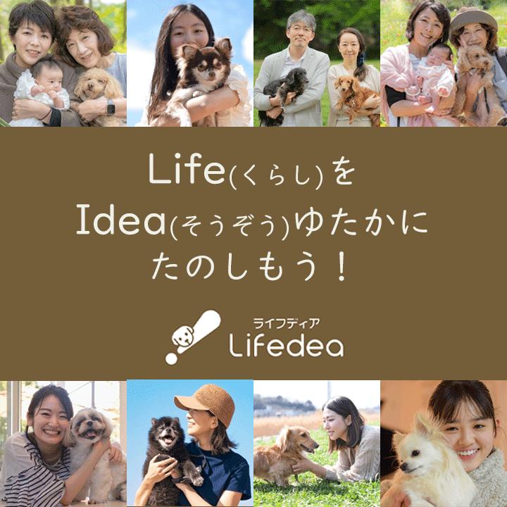 犬 服 冬 リボン レース スカート ニット 伸縮 着せやすい かわいい 防寒 あたたかい おしゃれ｜lifedea｜17