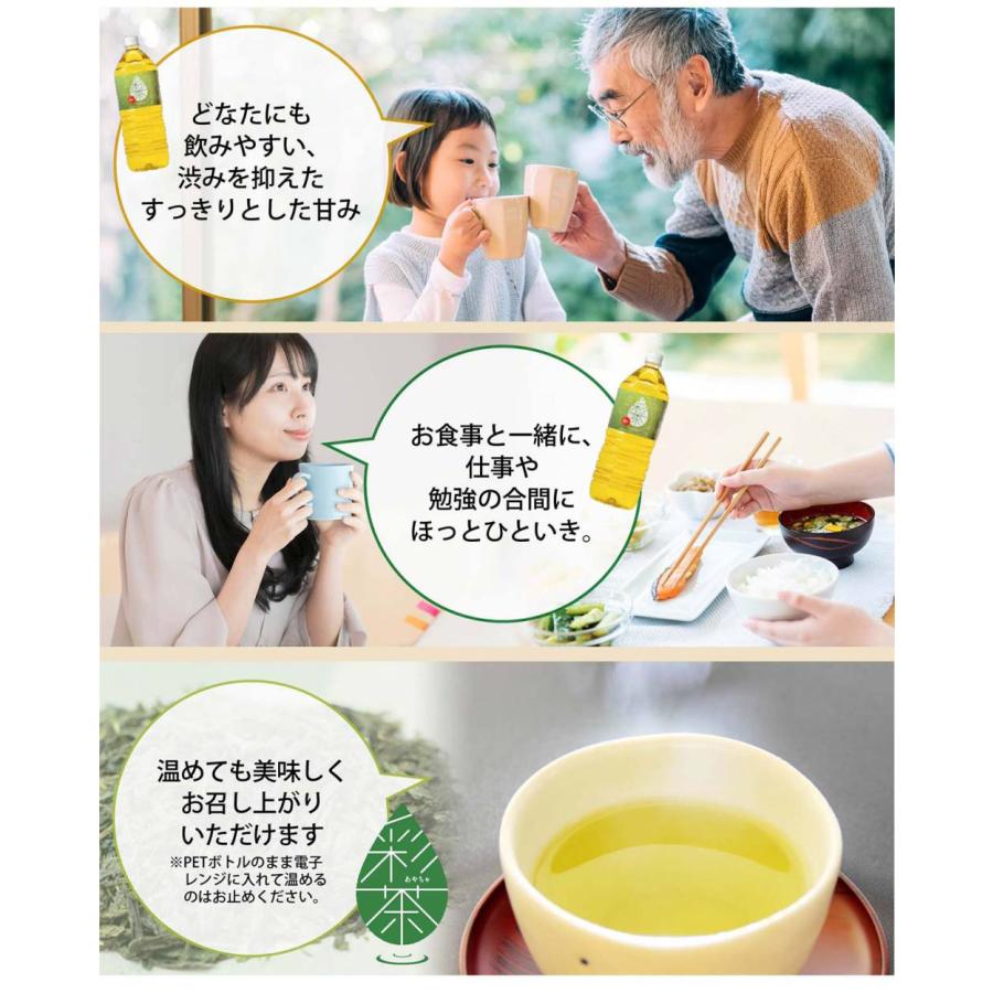 緑茶 彩茶-あやちゃ- お茶 2L 12本 鹿児島県産茶葉使用 送料無料 ライフドリンクカンパニー 日本茶 2リットル 6本×2箱 まとめ買い｜lifedrinkcompany｜09