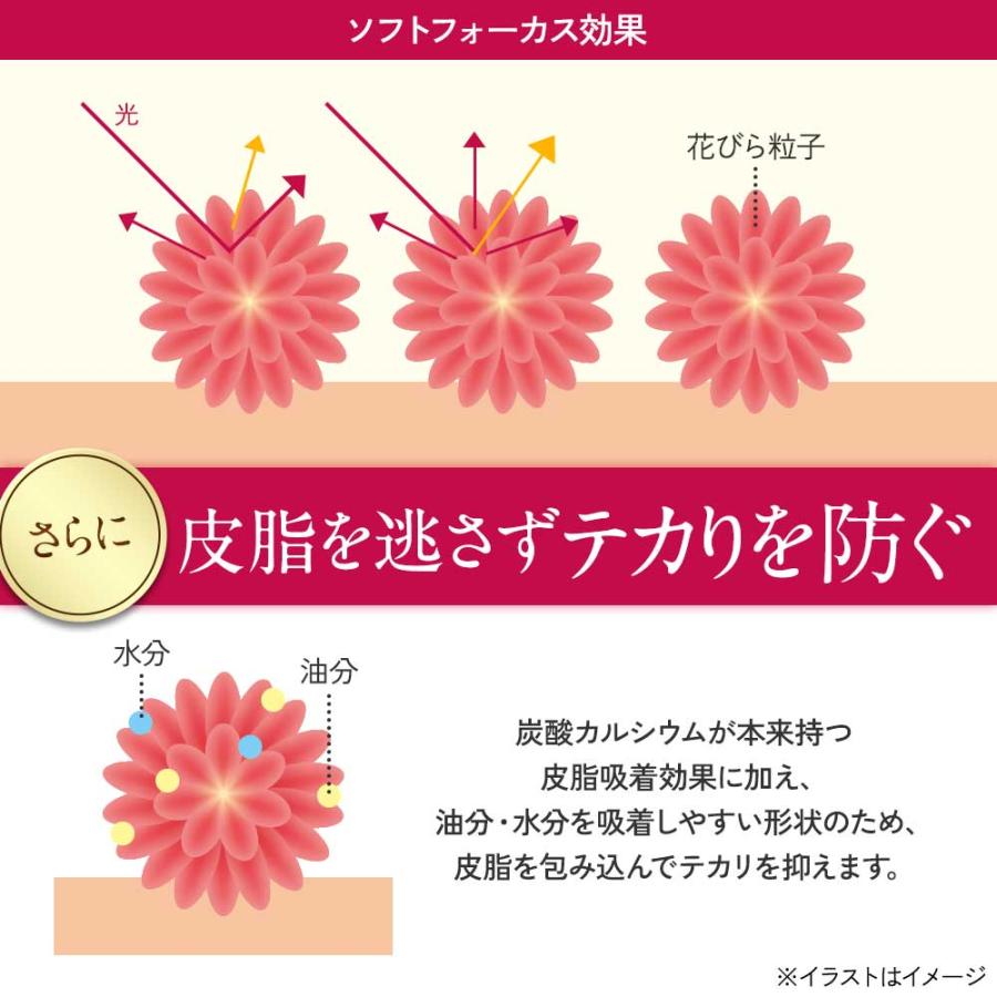 【旧商品ページになります】 ファンデーション リキッド カバー力 UV 30g リキッドファンデーション 50代 カバー力 40代 30代 SPF50 PA++++ 保湿 崩れにくい | D-RAY | 11