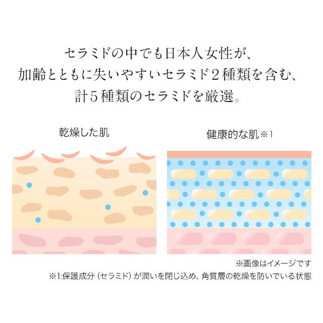 ファンデーション 国産 パウダー カバー力 50代 40代 レフィル パフ ケース 3点セット dray SPF20相当 セラミド ビタミンC | D-RAY | 12