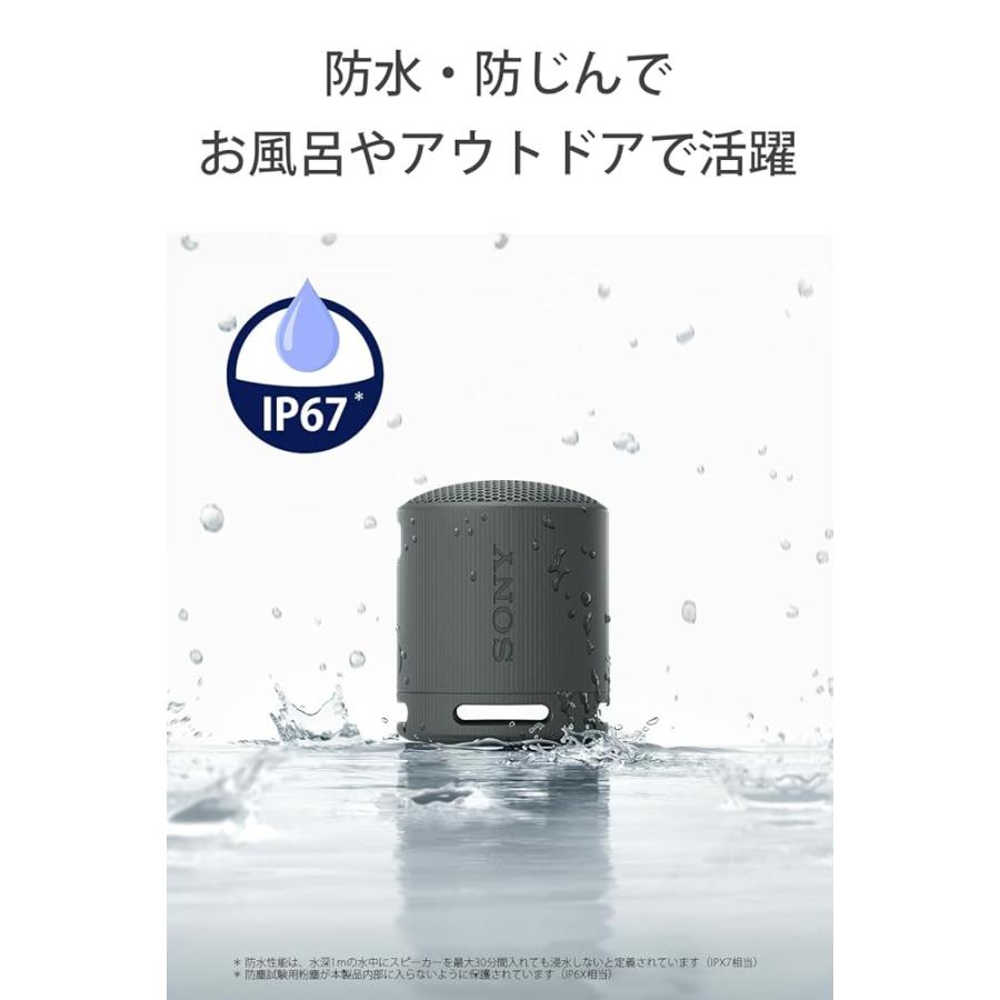 SONY（ソニー） SRS-XB100 ブルー ワイヤレスポータブルスピーカー
