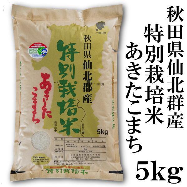 あきたこまち 秋田県産 秋田県仙北郡産 特別栽培米 5kg 新米 令和8年産