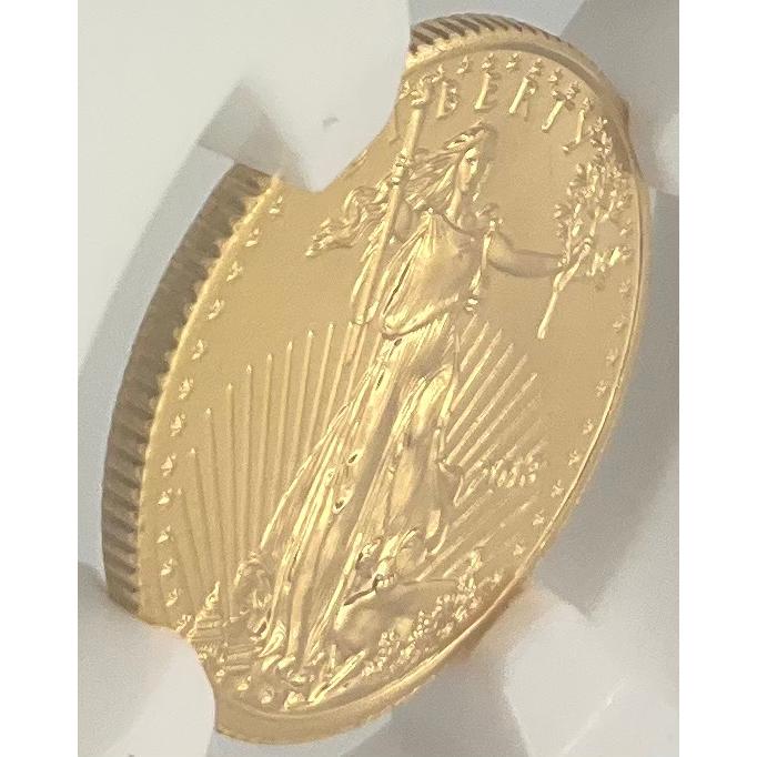 2013年 アメリカ イーグル 金貨 5ドル 1/10oz リバティ NGC社鑑定 MS70