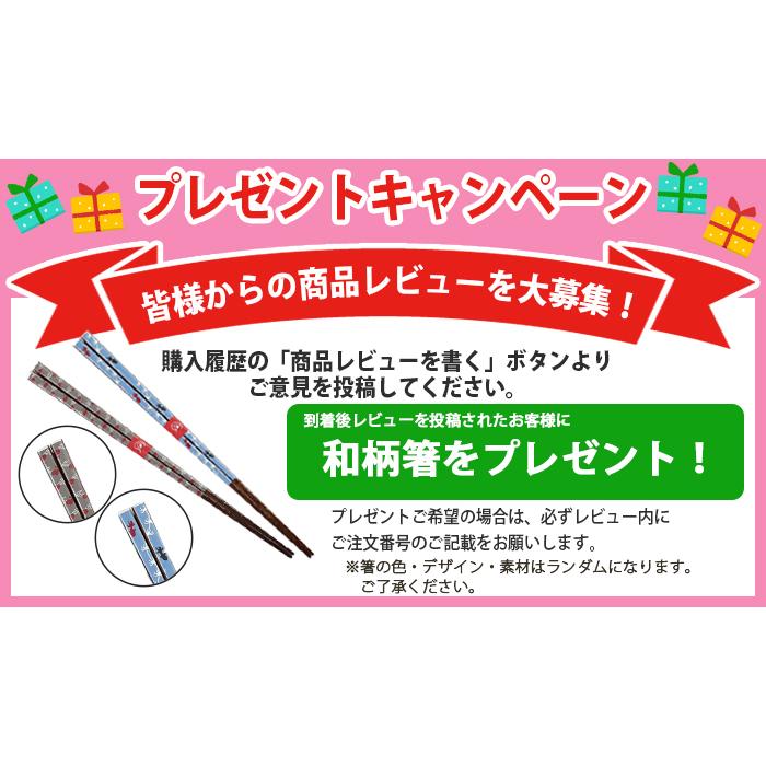 業務用箸 日本製 箸 食洗器対応 50膳セット PBT 樹脂箸 すべらない箸 22.5cm レンジ対応 箸 セット プラスチック｜lifehiroba｜27