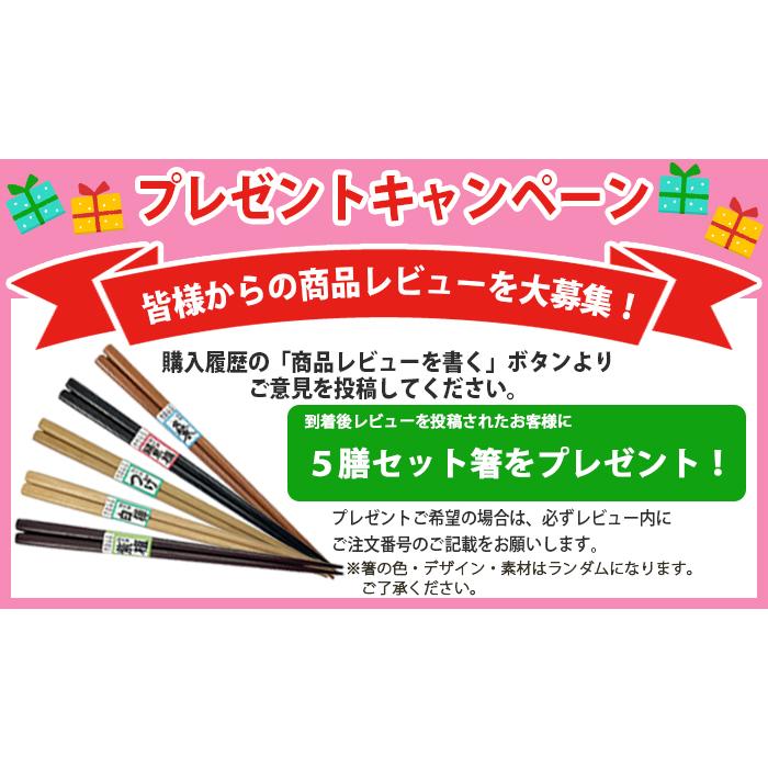 箸 日本製 すべらない 300膳入り箸セット 22.5cm プラスチック エコ箸 来客 子供 大人 業務用 飲食店 居酒屋 お箸 おはし レンジ 食洗機対応｜lifehiroba｜17