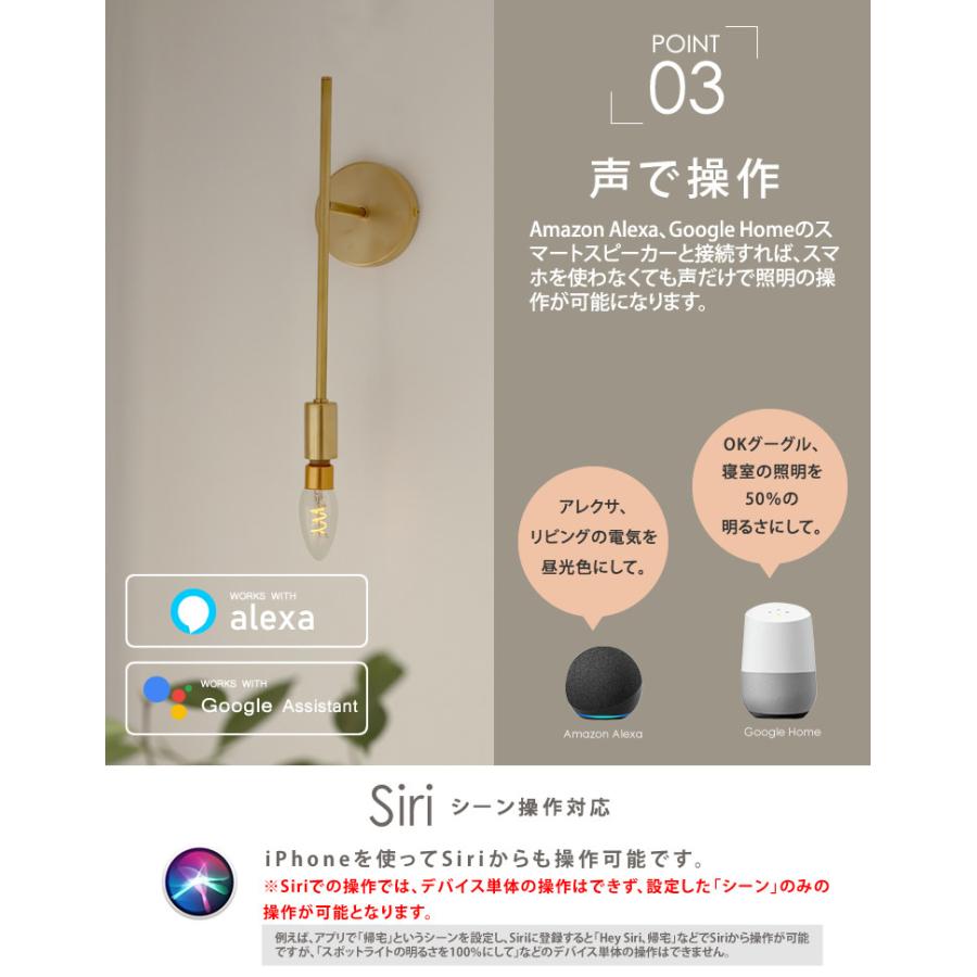 EdisonBulb 5個セット E17 スマート alexa対応 エジソン電球 LED電球