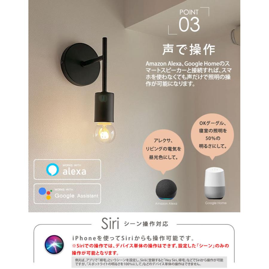 EdisonBulb 【訳アリ】エジソンバルブLEDスマートDUO E26 E17 エジソン