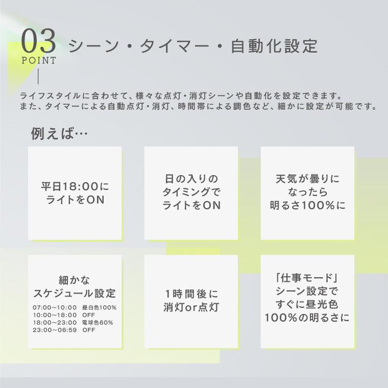 Edison Smart（エジソンスマート） ダクトレール用 照明 2個セット 引