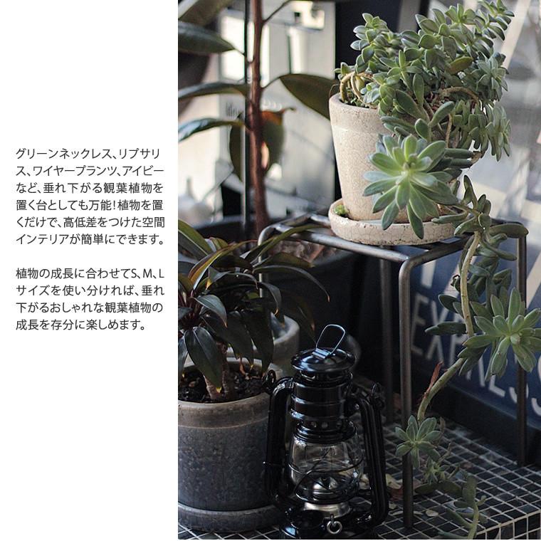 プランタースタンド ラック ノップ プラントスタンド S M Lサイズ 3点