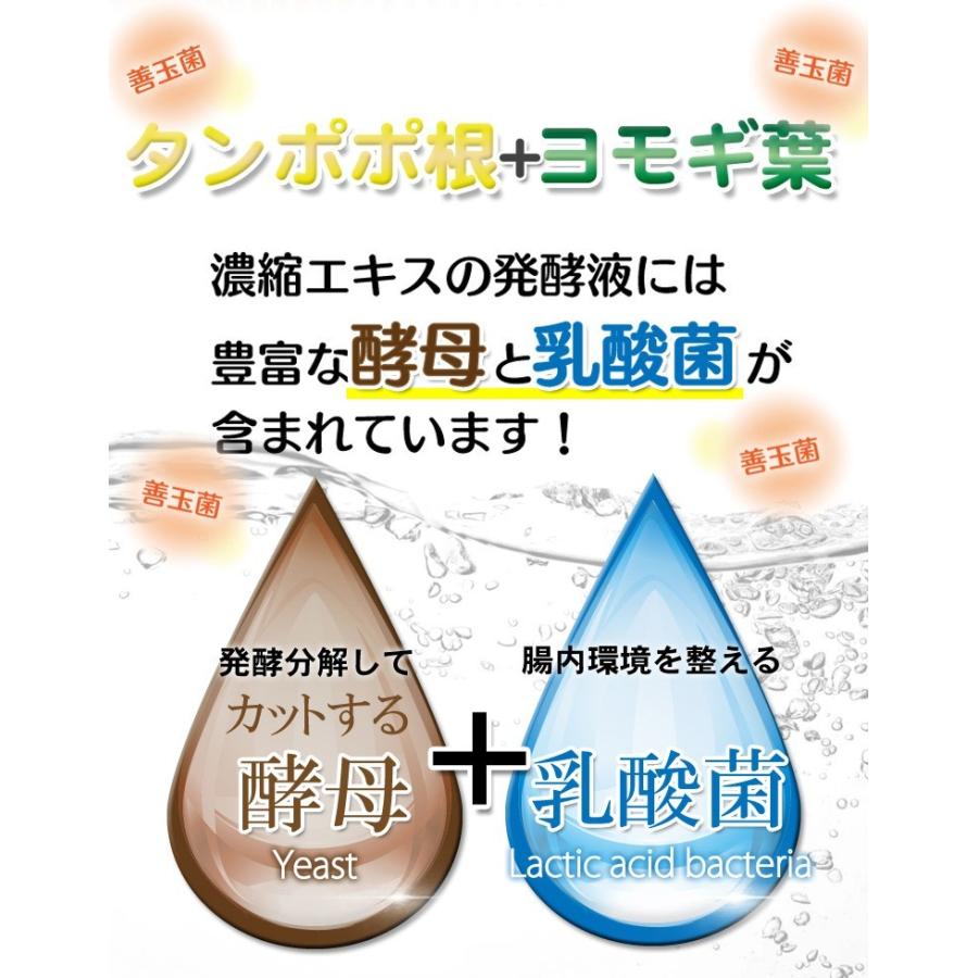ばんのう酵母くん 23ml 【6本セット】 アーデンモア 正規品 ネコポス