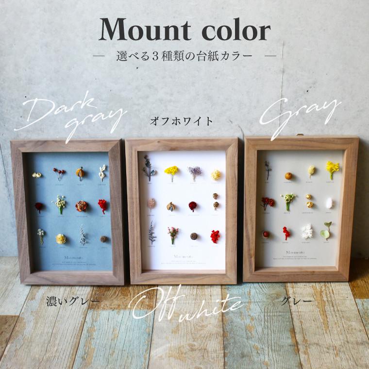 ドライフラワー額入り　フレーム　インテリア magnet フラワーフレーム SPECIMEN FRAME 20×20cm 木製 フレーム