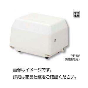 電磁式エアーポンプ ライフィスのds Ds 幼児教育 教材 Yp a Ds