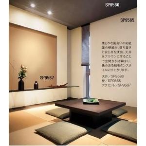 公式の Ds 壁紙 のり無しタイプ サンゲツ Sp 9565 無地貼可 92cm巾 30m巻 Ds 海外最新 Www Nazoceramics Com