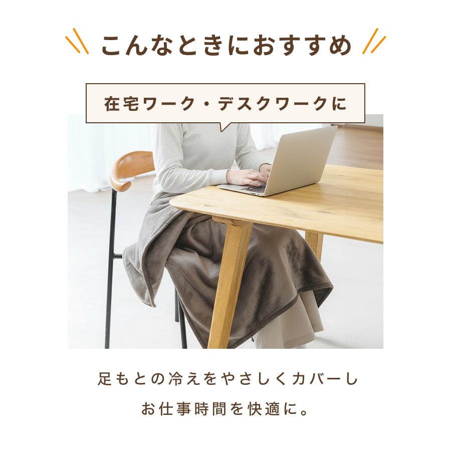 ライフジョイ（LIFEJOY） 電気ひざ掛け 日本製 電気毛布 母の日 ギフト