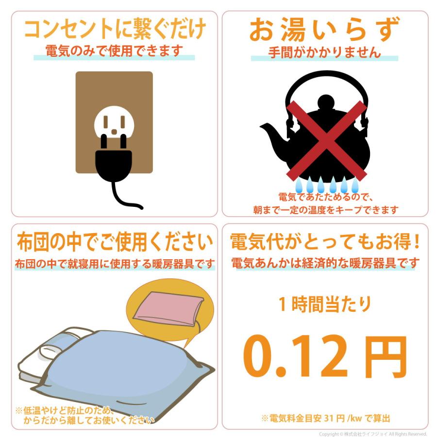 ファンヒーター 電気敷毛布、電気アンカ　　充電湯タンポ　 害虫駆除器　5点 ファンヒーター 電気敷毛布、電気アンカ 充電湯タンポ 害虫駆除器 5点 電気