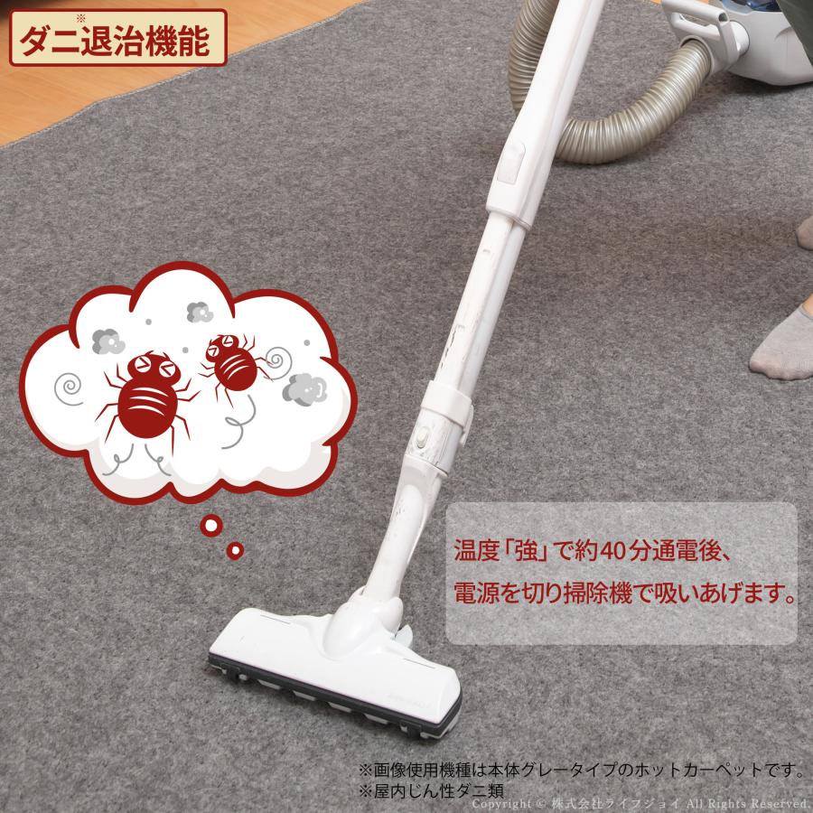 ライフジョイ ホットカーペット 日本製 1.5畳 フローリング調 V ライフジョイ ホットカーペット 日本製 1.5畳 フローリング調 V ライフ