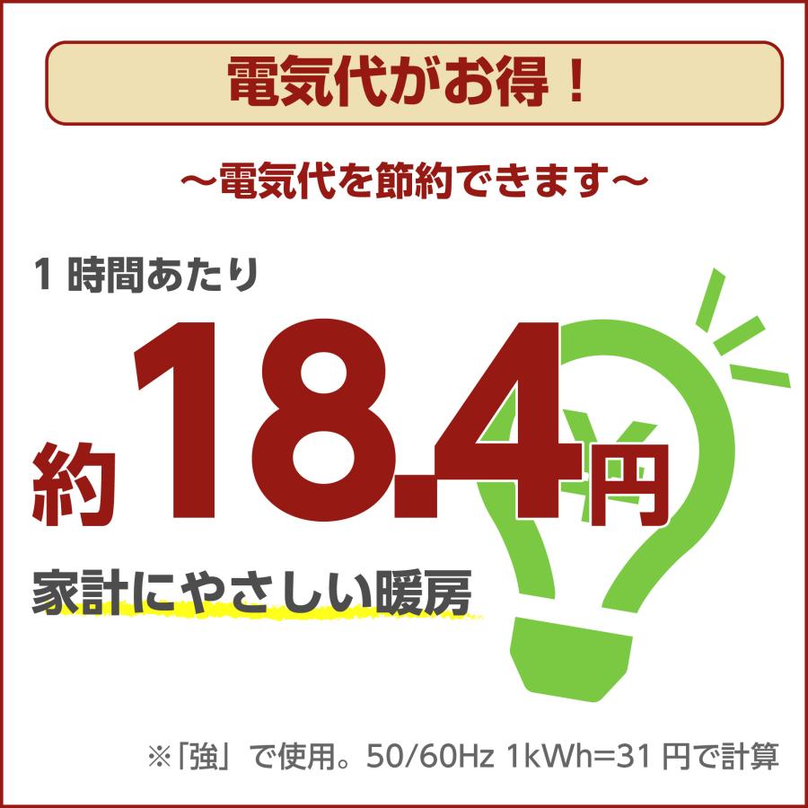 ライフジョイ（LIFEJOY） 【公式】ライフジョイ ホットカーペット 電気