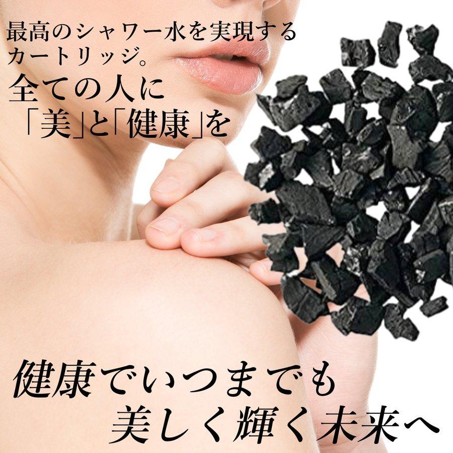 美テラ水 テラヘルツ有効波シャワーヘッド カートリッジ交換不要 