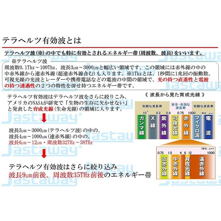 美テラ水 テラヘルツ有効波シャワーヘッド カートリッジ交換不要 