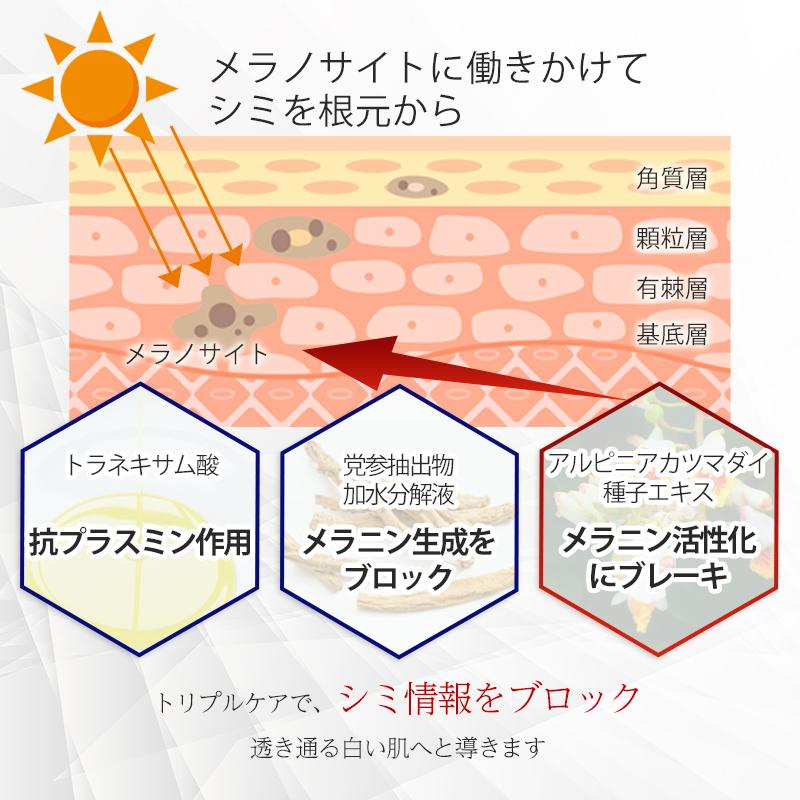 デマレ TNA ホワイトニングエッセンス 60mL 業務用【医薬部外品】しみ そばかす くすみ 美白 ビタミンC誘導体 グリチルリチン酸2K ポレーション イオン導入｜lifelabo｜07