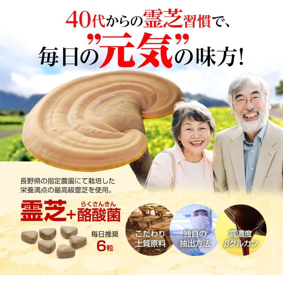 プレミアム 霊芝 180粒 (約1カ月分) 赤芝 赤霊 れいし 高濃度抽出 国産