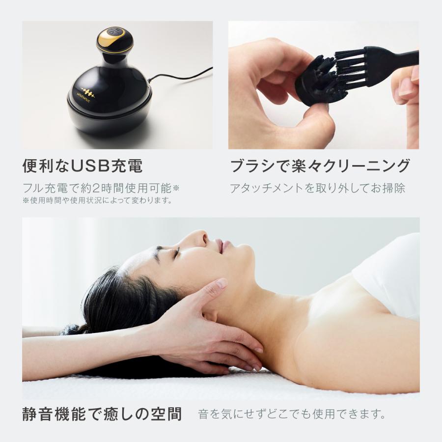 WAVEWAVE スカルプ ヘッドスパ EMS 頭皮ブラシ Scalp Head SPA 電動
