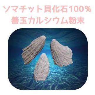 天然貝化石のカルシウム 220g 旧 太古のカルシウムPLUS 骨や歯の