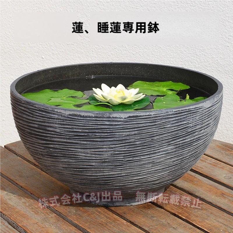 大特価‼️ 最終値下げ‼️ 睡蓮鉢‼️ 睡蓮鉢 睡蓮の鉢 ?睡蓮鉢+大型 睡蓮鉢プラスチック 睡蓮鉢+大型+