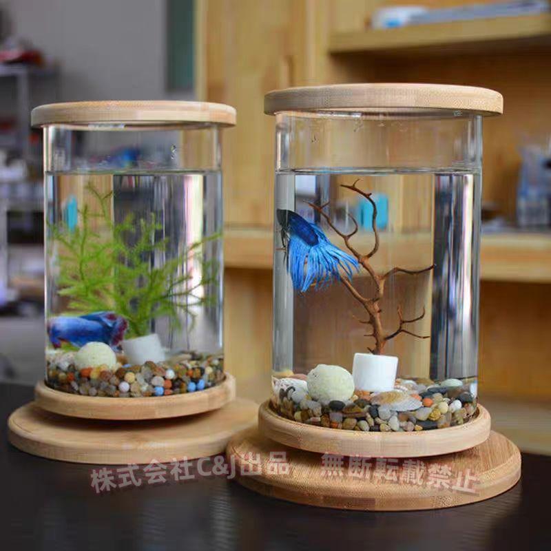 卓上水槽 ベタ飼育 ガラス おしゃれ インテリア コンパクトC&J（株