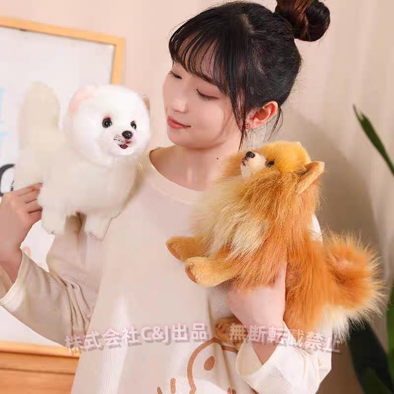 ぬいぐるみ 犬 ポメラニアン リアル 本物そっくりC&J（株)抱き枕 いぬ