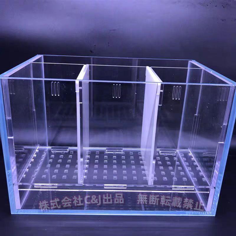 ベタ 水槽 ベタ飼育箱 プロの水槽 熱帯魚観賞魚 水族館 水槽を並べる