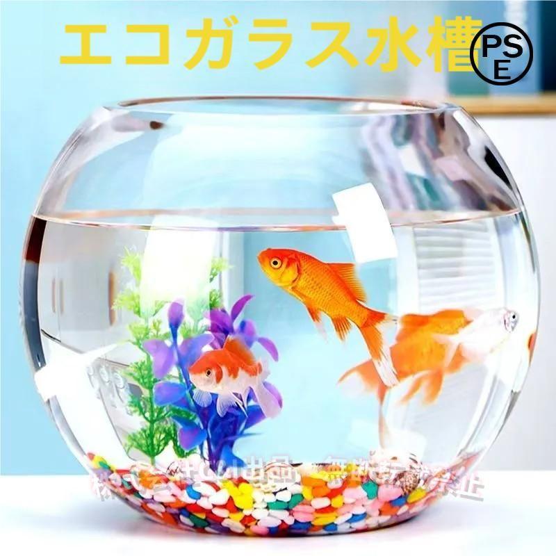 金魚鉢 ガラス 30cm 透明 丸鉢 ミニ水槽C&J（株)和風 かわいい