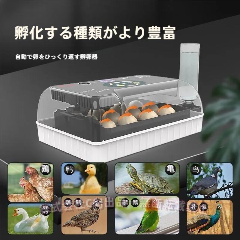 自動孵卵器 インキュベーター 鳥類専用 ふ卵器 12個入 自動転卵 湿度