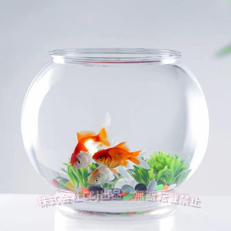 アクアリウム 猫 金魚鉢 透明 大 丸型金魚鉢 透明アクリル C&J（株