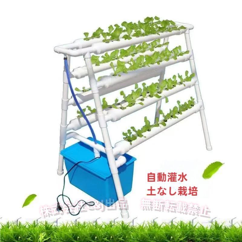 水耕栽培キット 室内 家庭菜園 72穴 C&J すいこう栽培キット いちご