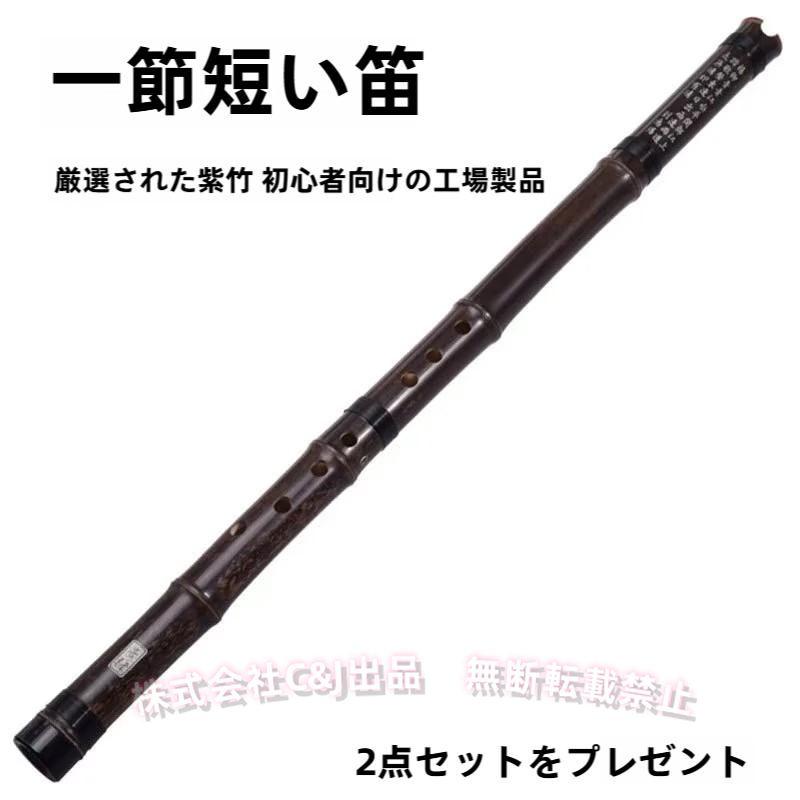 洞簫 どうしょう 3パーツ 組み立て式 C&J（株) ケース付き 中国楽器