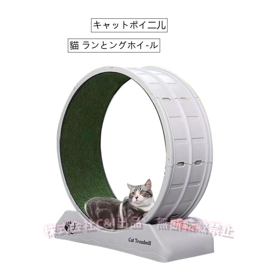 猫　キャットホイール　キャットウォーク　回し車 楽天市場】キャットホイール 猫 ランニングホイール キャットウォーク